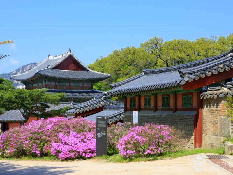 Lista skarbów UNESCO w Korei Południowej, które musisz zobaczyć